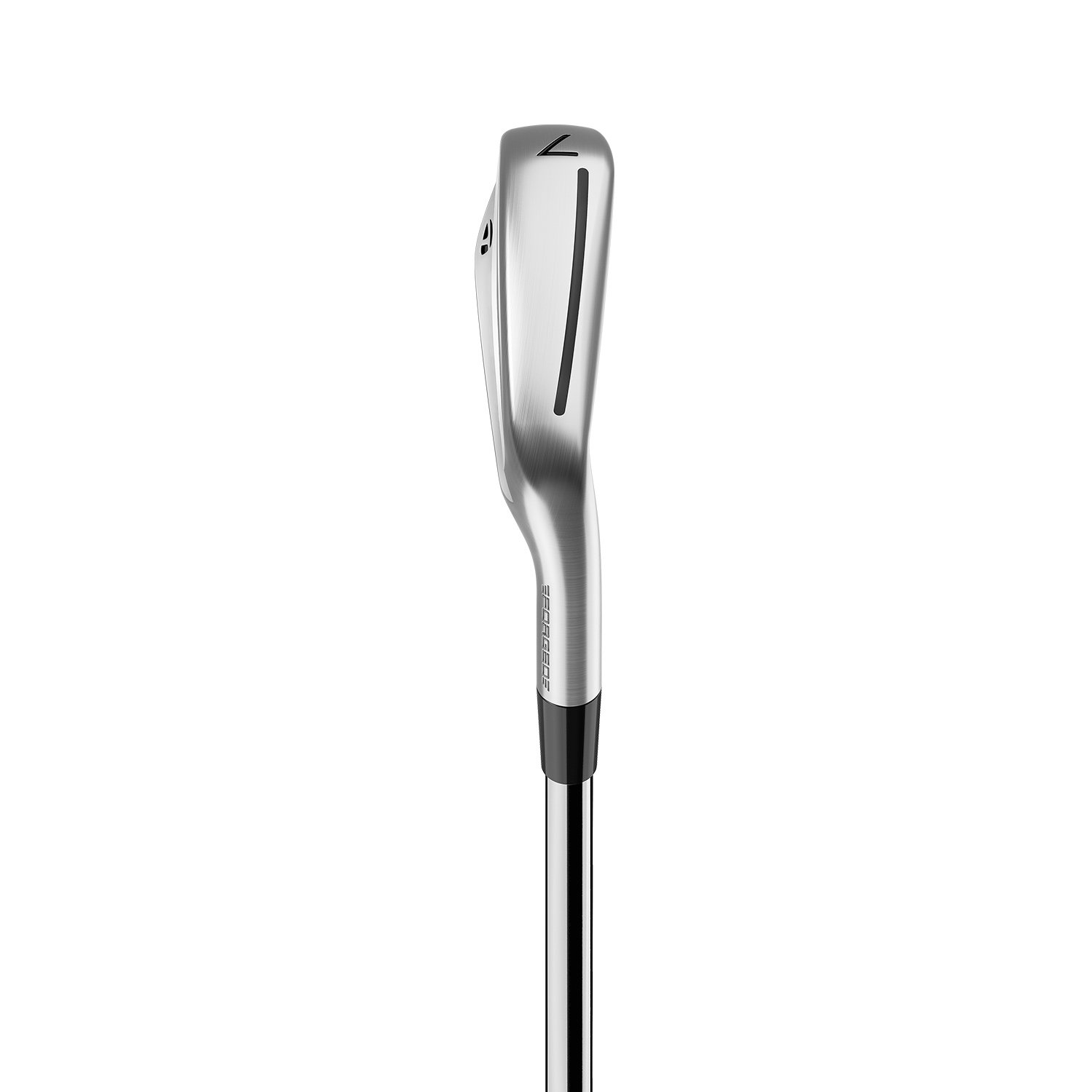 P790 - Steel/Graphite TaylorMade