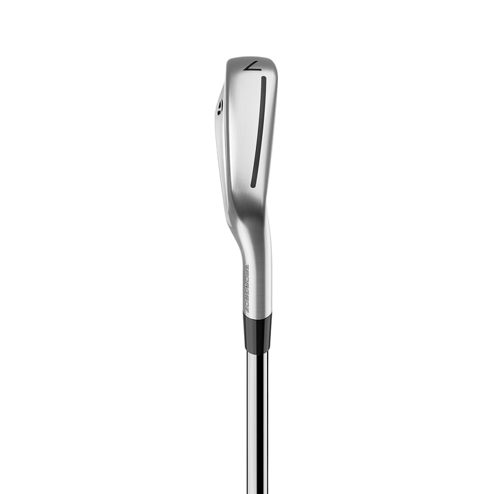P790 - Stahl/Graphit TaylorMade P790 - Stahl/Graphit TaylorMade