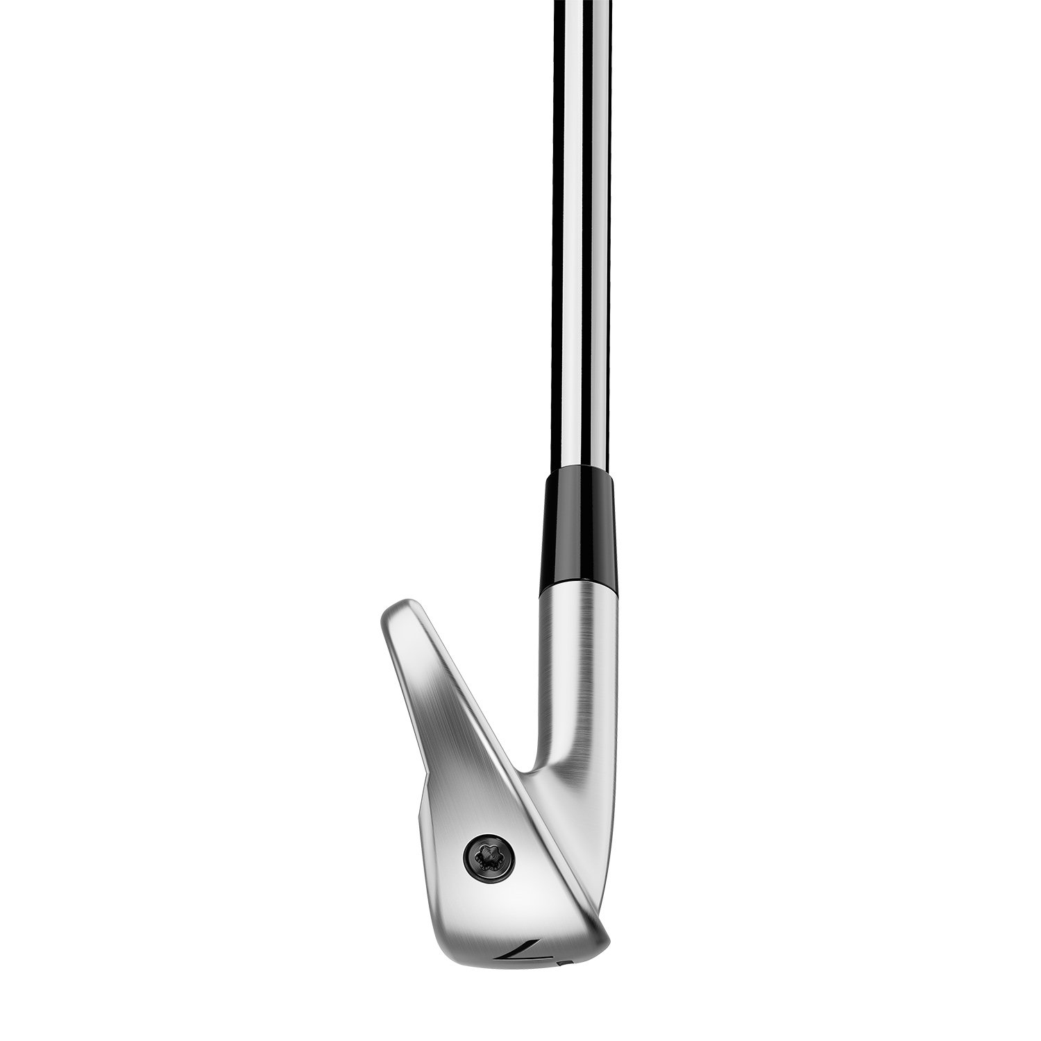 P790 - Steel/Graphite TaylorMade