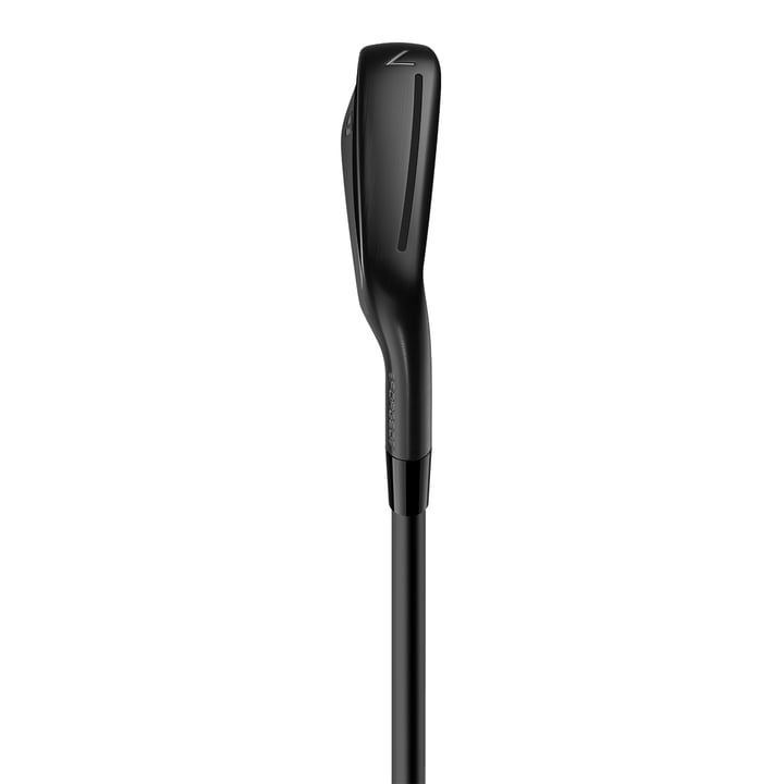 TaylorMade P790 Designer Series 2 - Irons