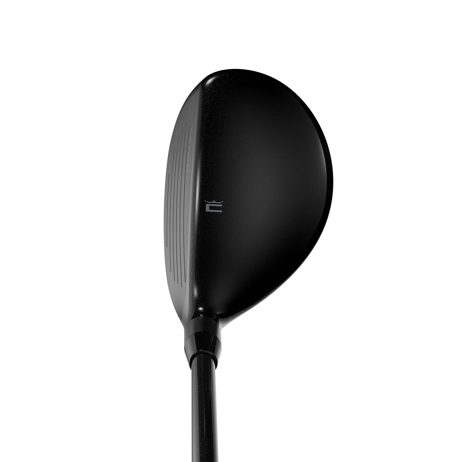 Aerojet Schwarz Cobra