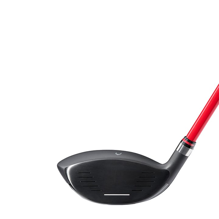 D300 SL Wilson