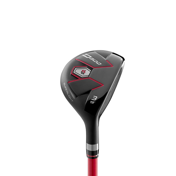 D300 SL Wilson