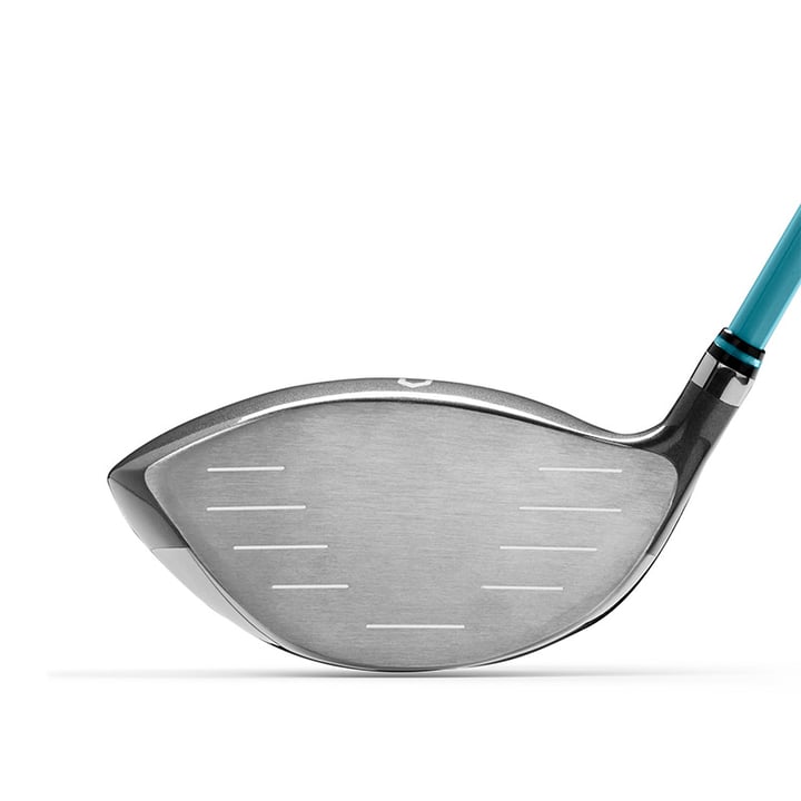 D300 SL Wilson