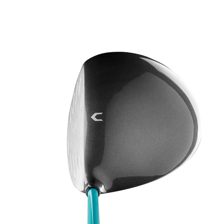 D300 SL Wilson