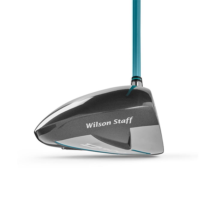 D300 SL Wilson