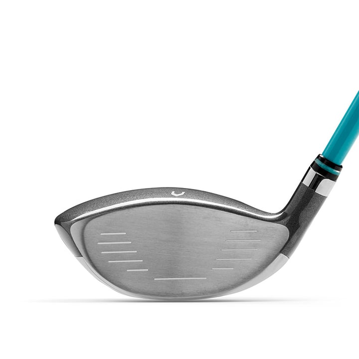 D300 SL Wilson