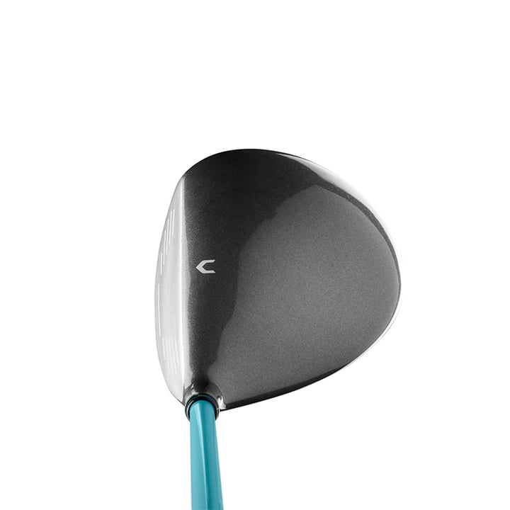 D300 SL Wilson