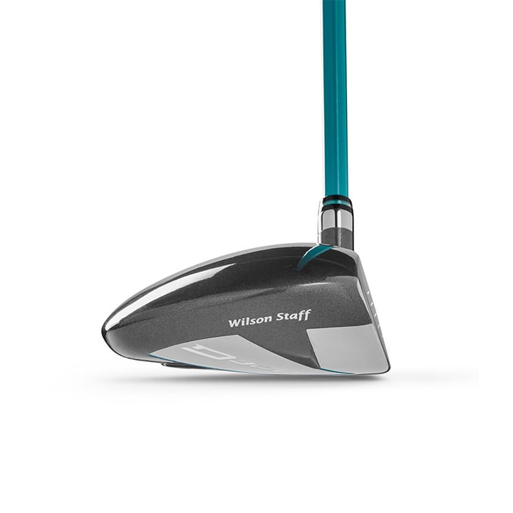D300 SL Wilson