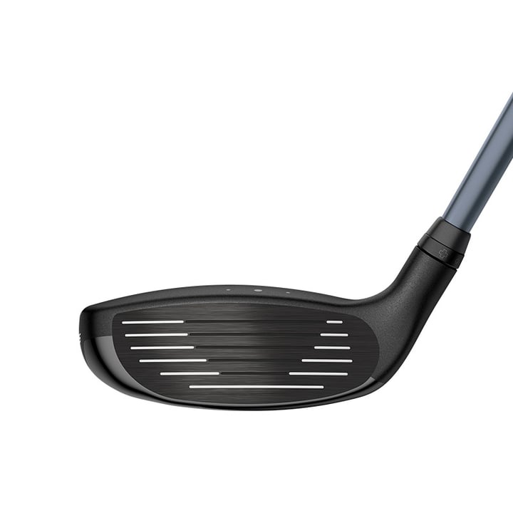 G425 Tour Ping