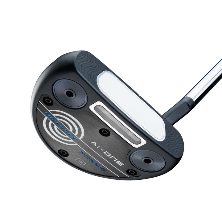 Ai One Rossie S Odyssey Ai One Rossie S Odyssey