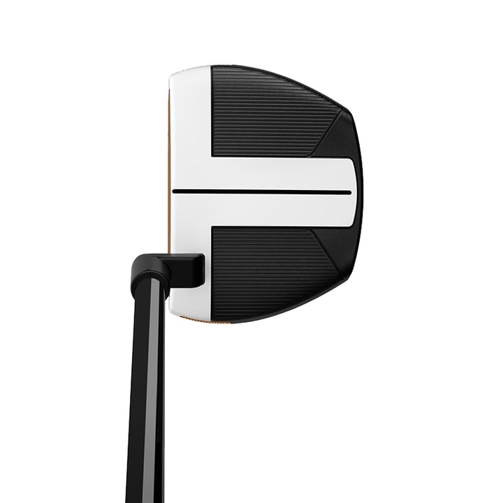 Spider FCG Chalk White 1 TaylorMade