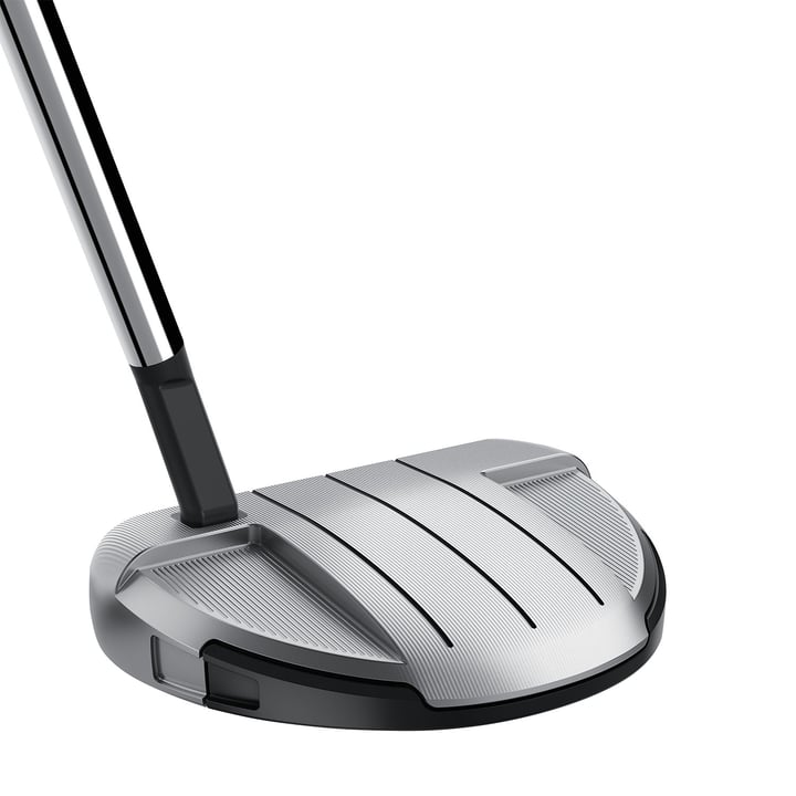 Spider GT Rollback Silver Small Slant TaylorMade