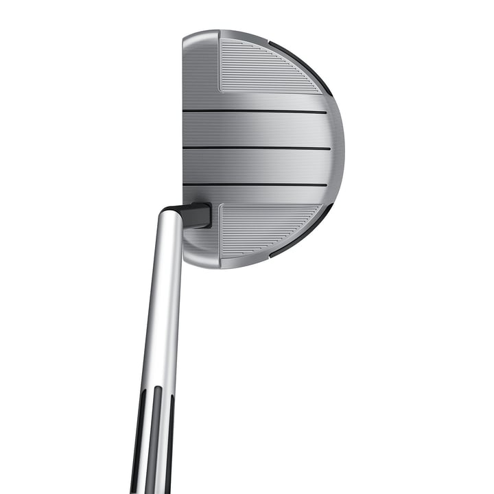 Spider GT Rollback Silver Small Slant TaylorMade