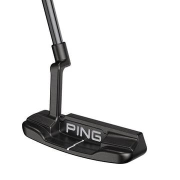 Anser Ping