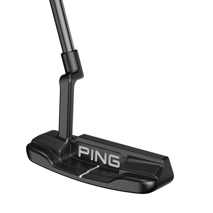 Anser Ping