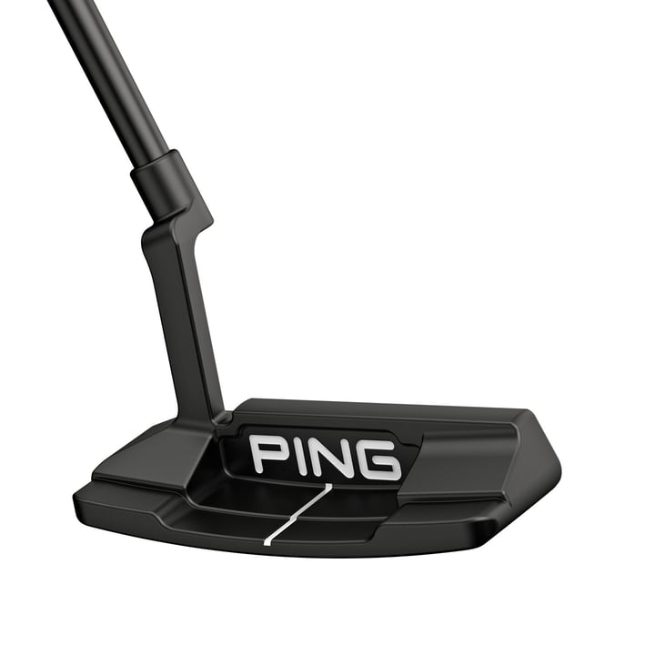 Anser 2D Ping