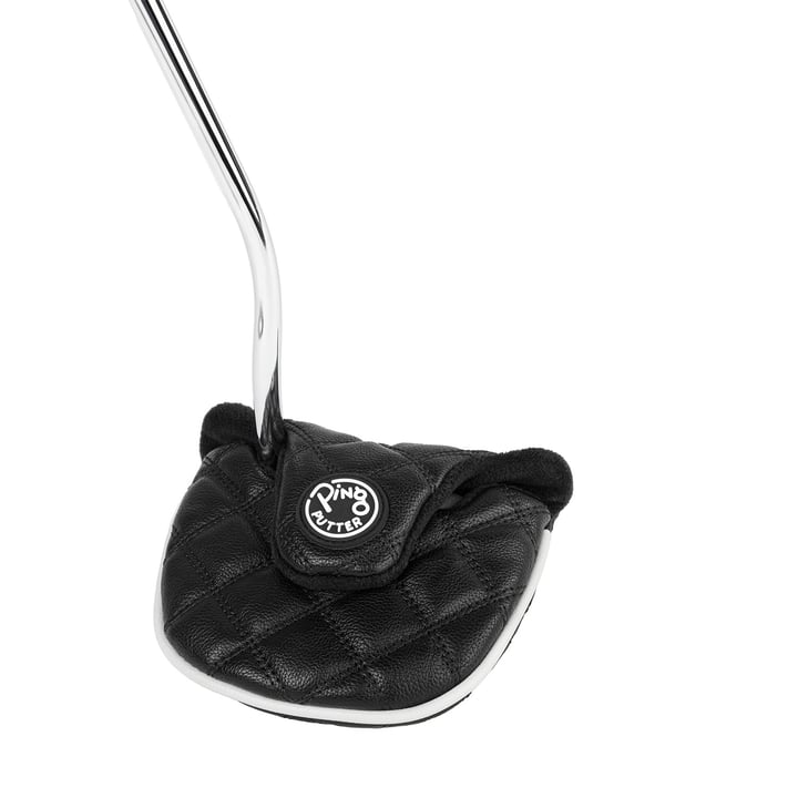 DS72 C Ping