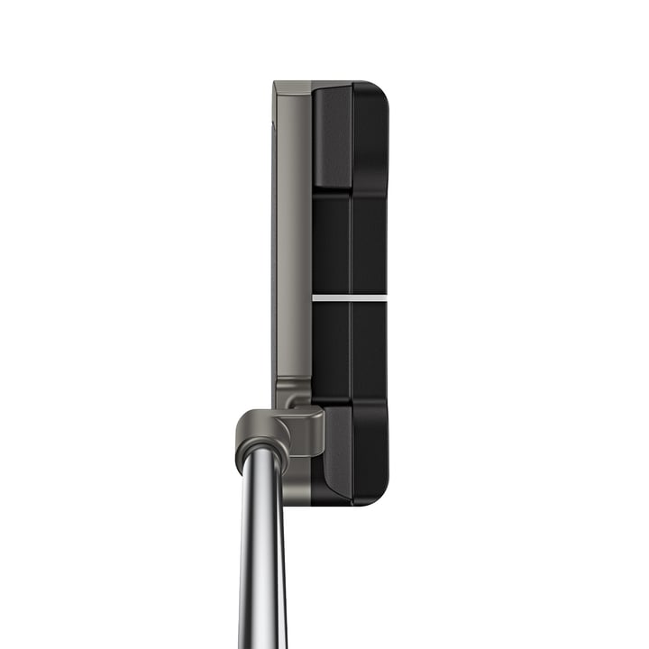 Scottsdale Anser Ping Scottsdale Anser Ping