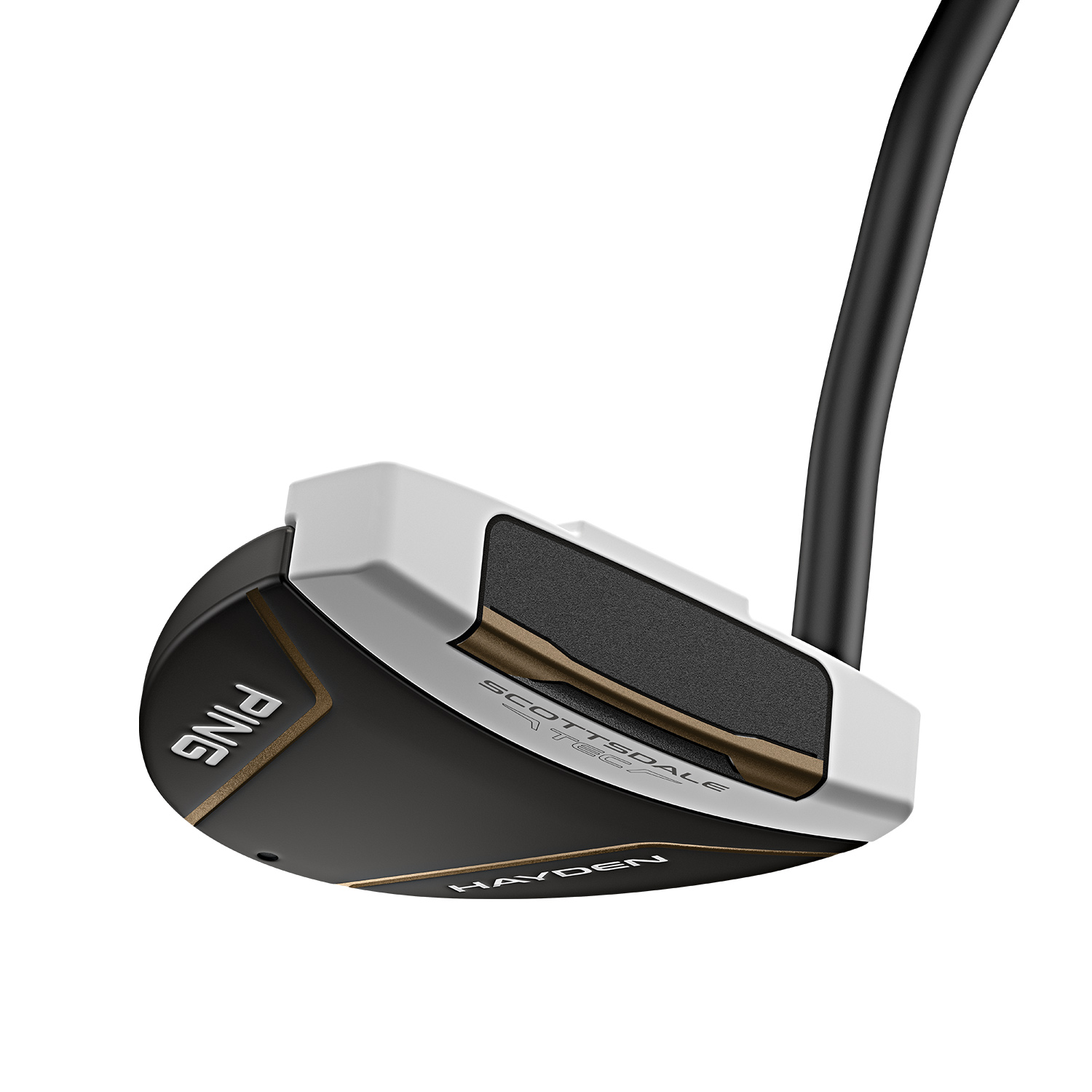 Ping Ping Hayden Putter