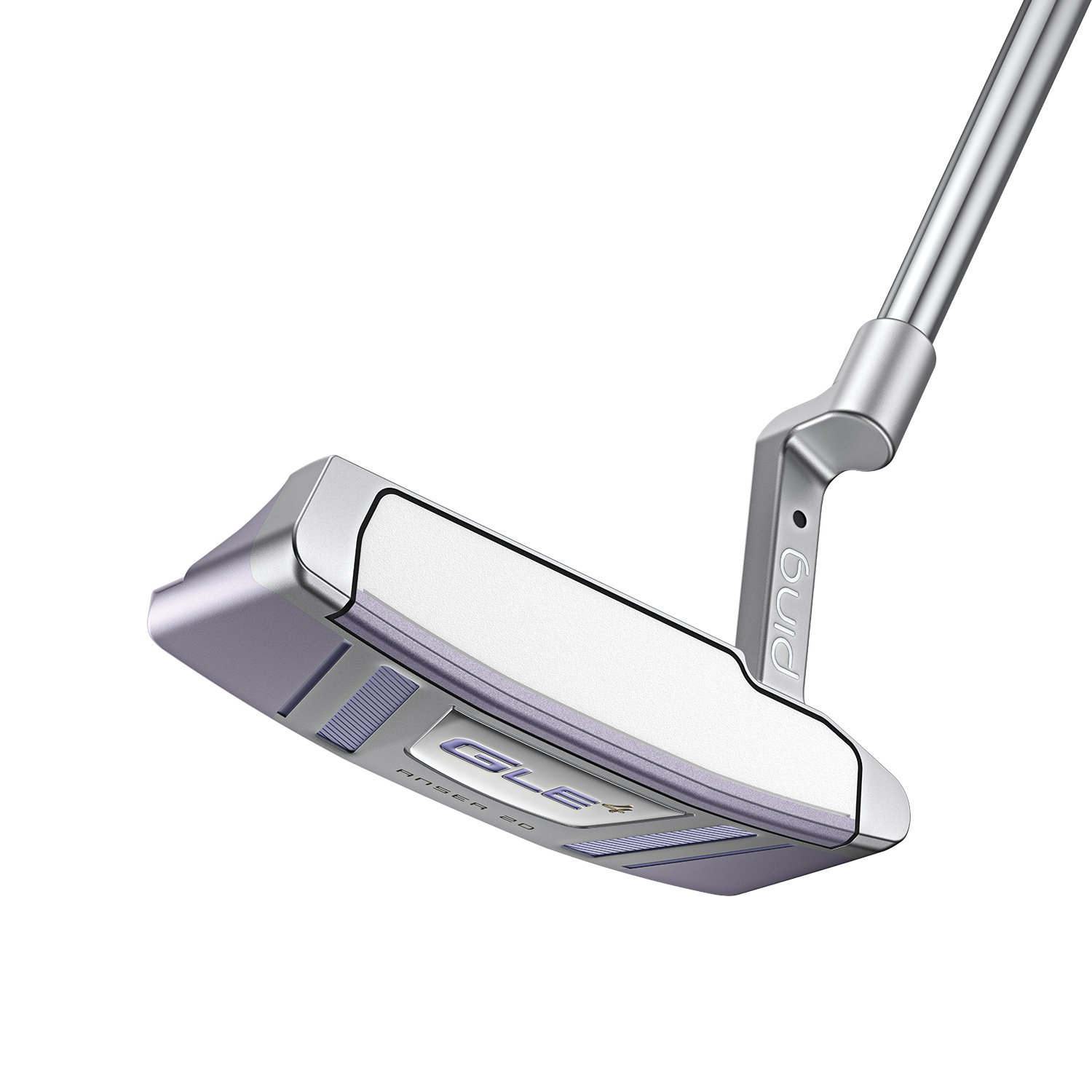 G LE 4 Anser 2D Ping