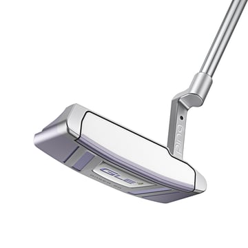 G LE 4 Anser 2D Ping