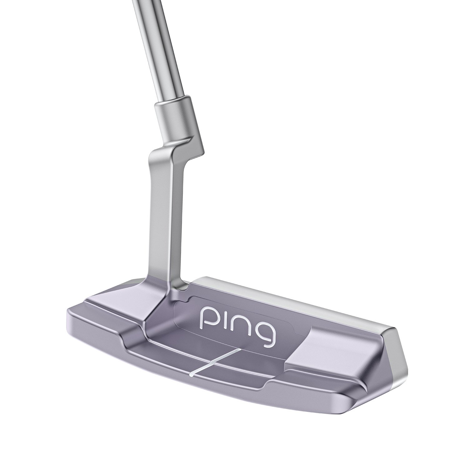 G LE 4 Anser 2D Ping