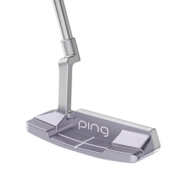 G LE 4 Anser 2D Ping