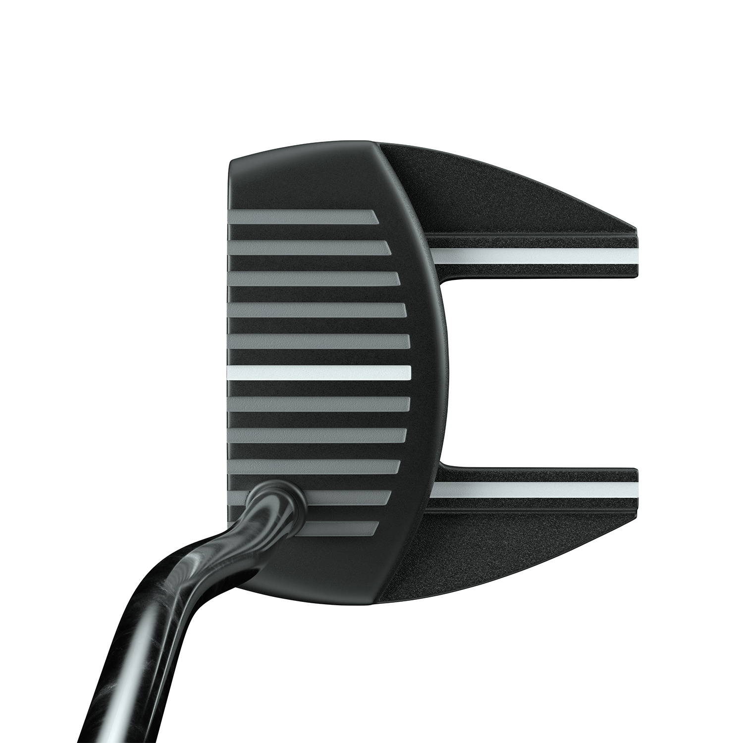 Alt2 Zebra Alt2 Zebra