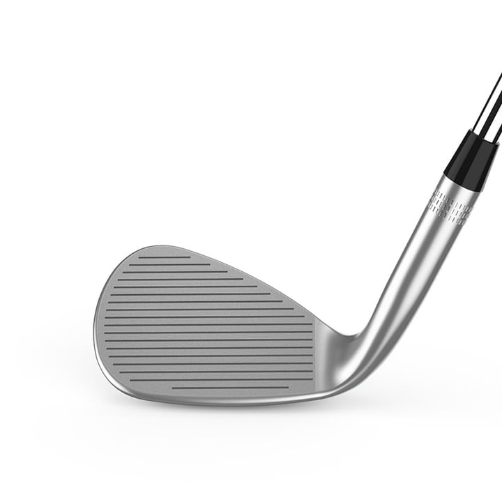 Staff Model HT Wilson