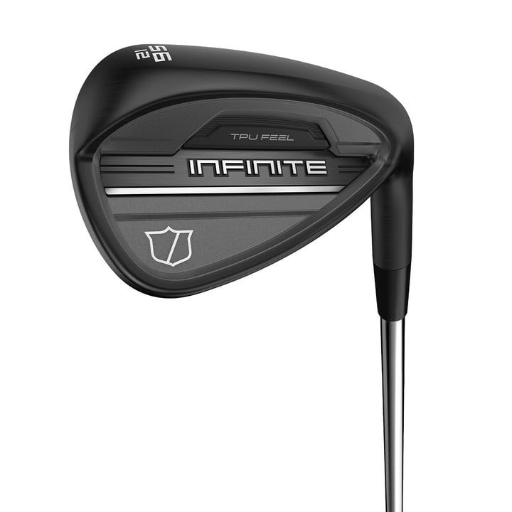 Infinite Wedge Wilson Infinite Wedge Wilson