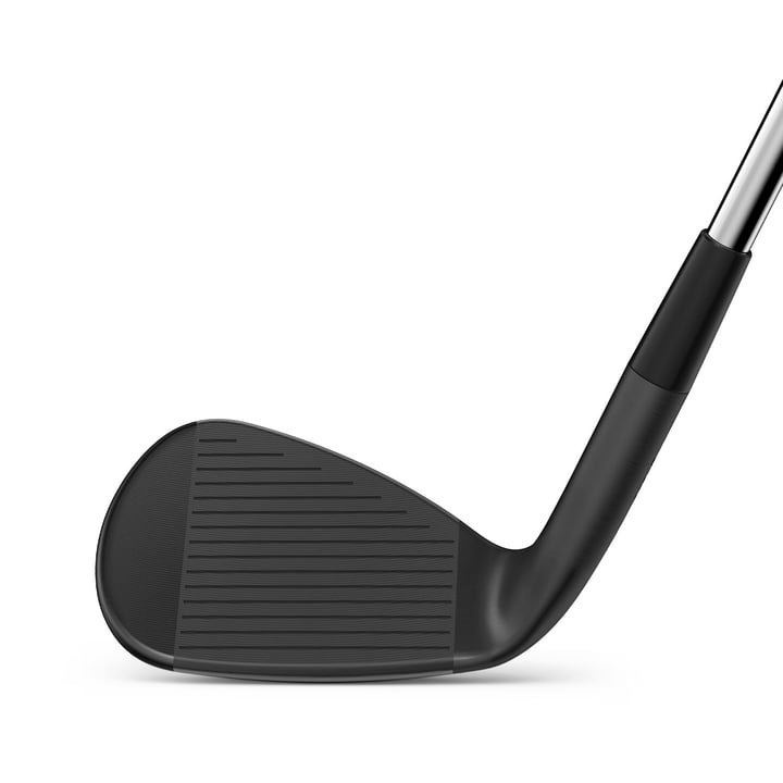 Infinite Wedge Wilson Infinite Wedge Wilson