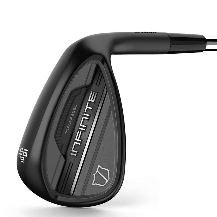 Infinite Wedge Wilson Infinite Wedge Wilson