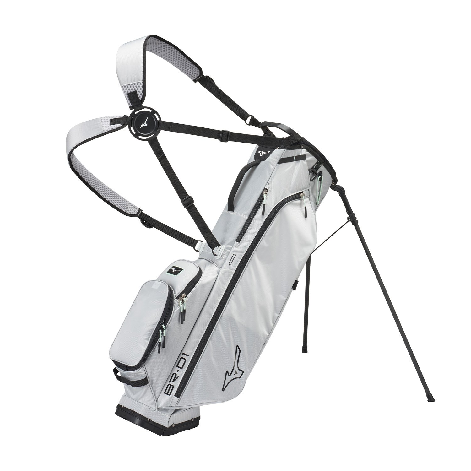 BR-D1 Stand Bag