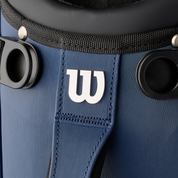 The 1914 Carry Wilson