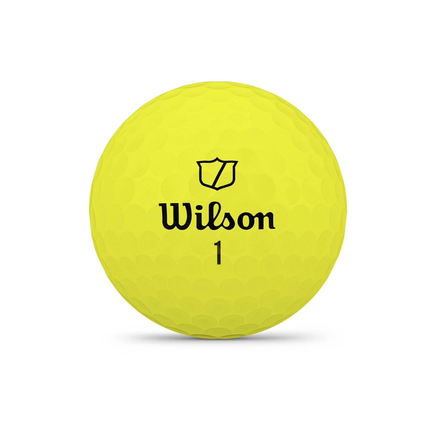 Staff Model Gul Wilson