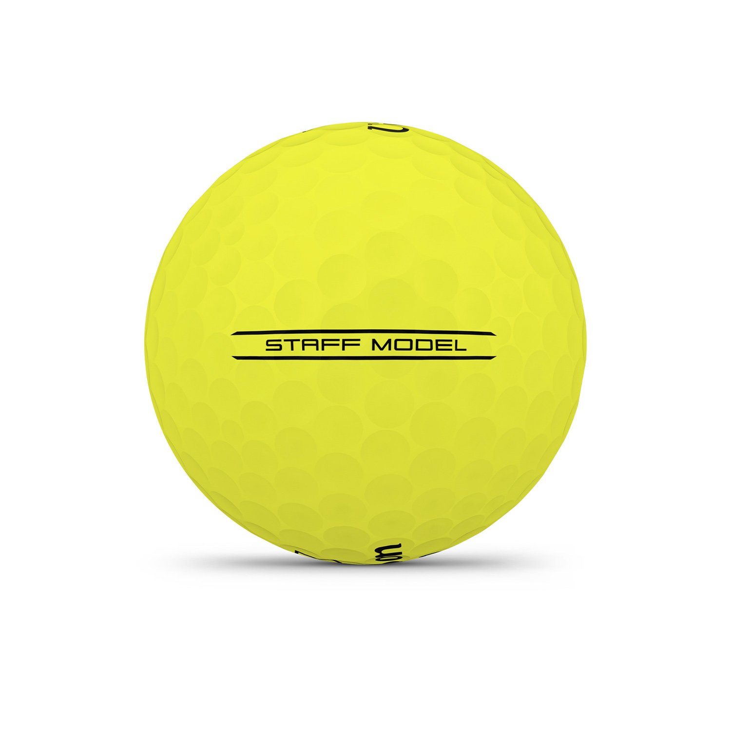 Staff Model Gul Wilson