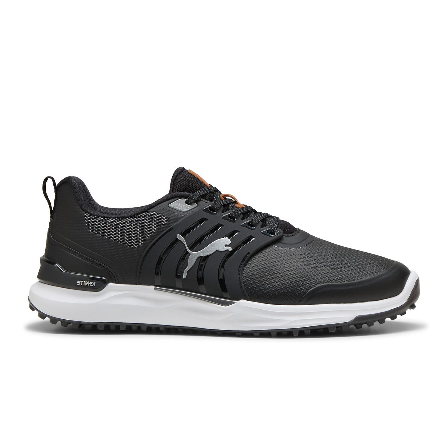Ignite Elevate 2