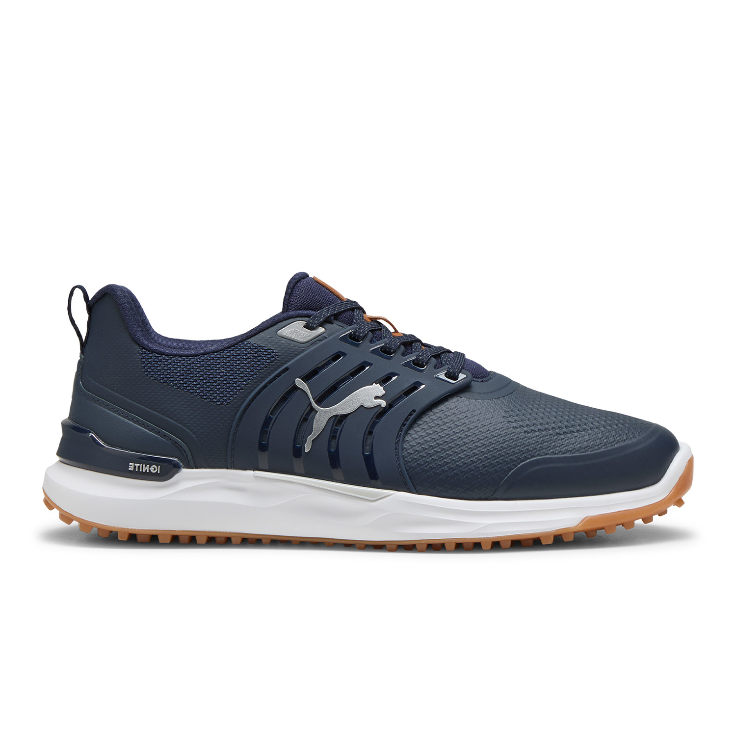 Ignite Elevate 2
