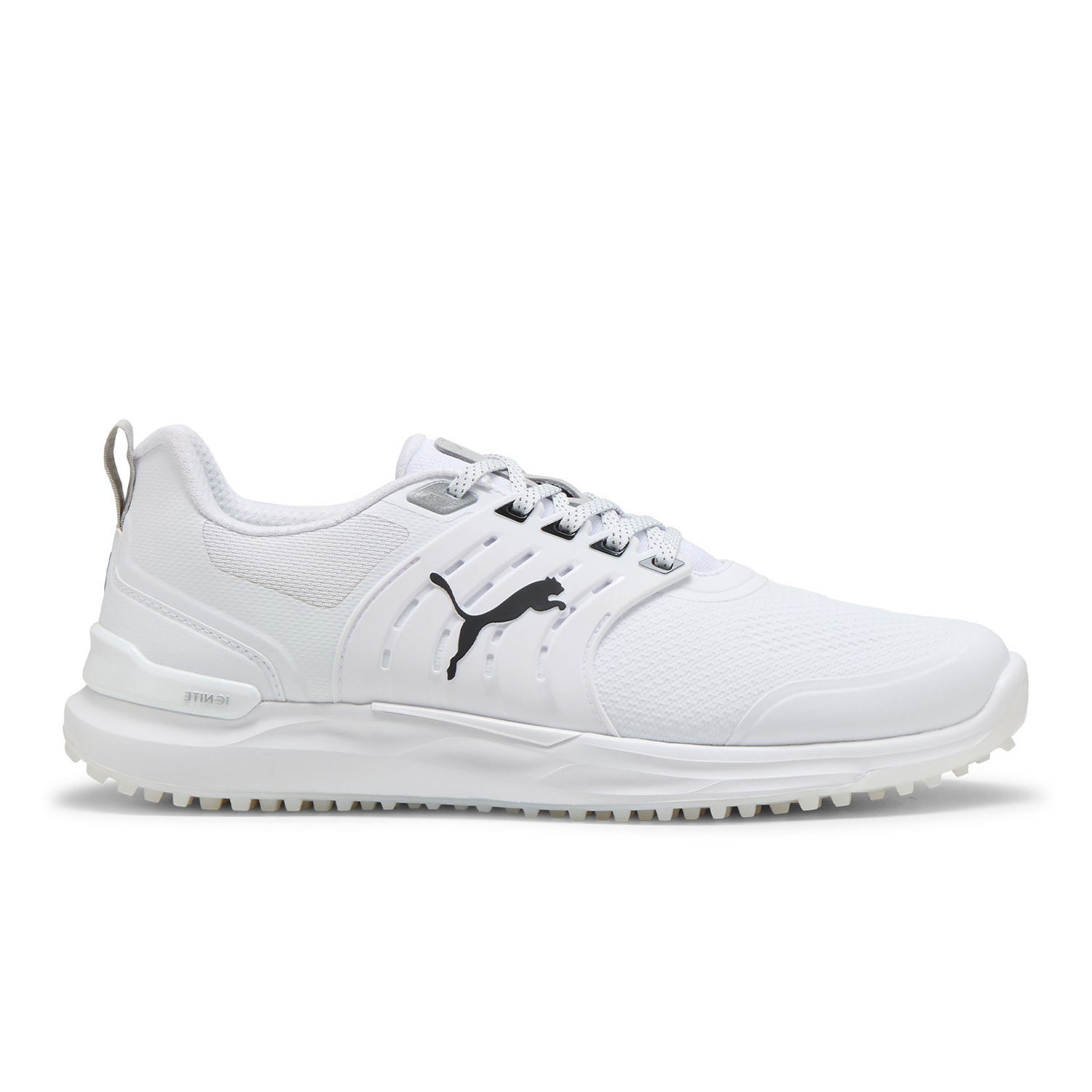 Ignite Elevate 2