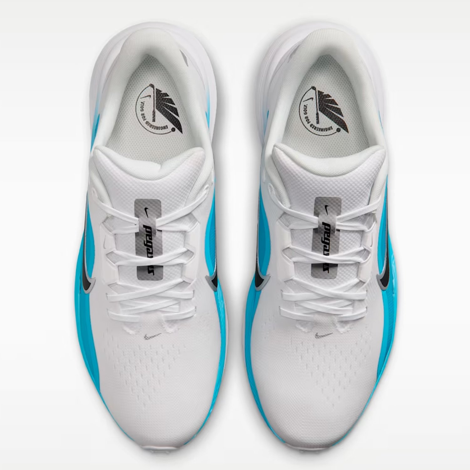 Pegasus 1 G Nike