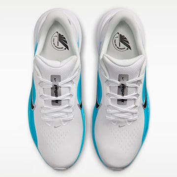 Pegasus 1 G Nike