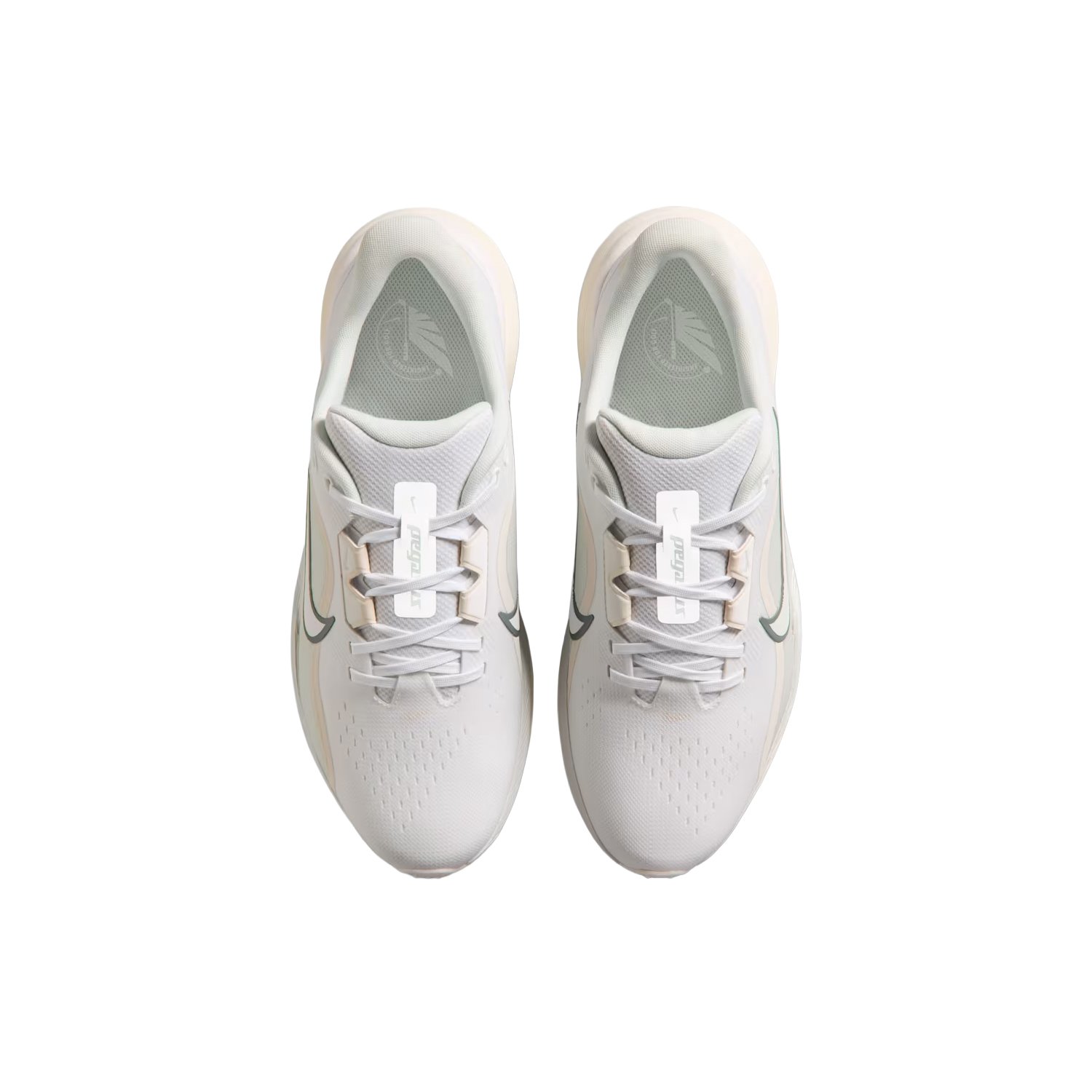Pegasus 1 G Nike
