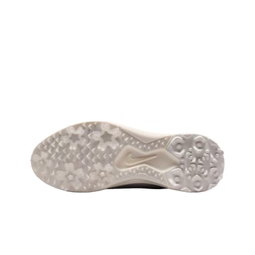 Pegasus 1 G Nike
