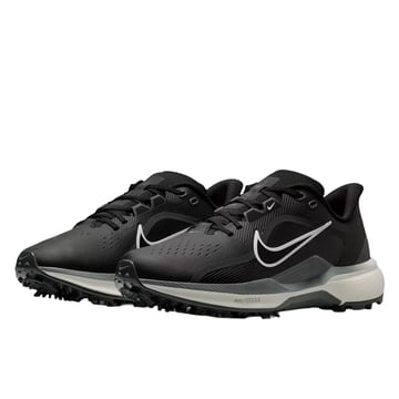 Pegasus 1 G Nike