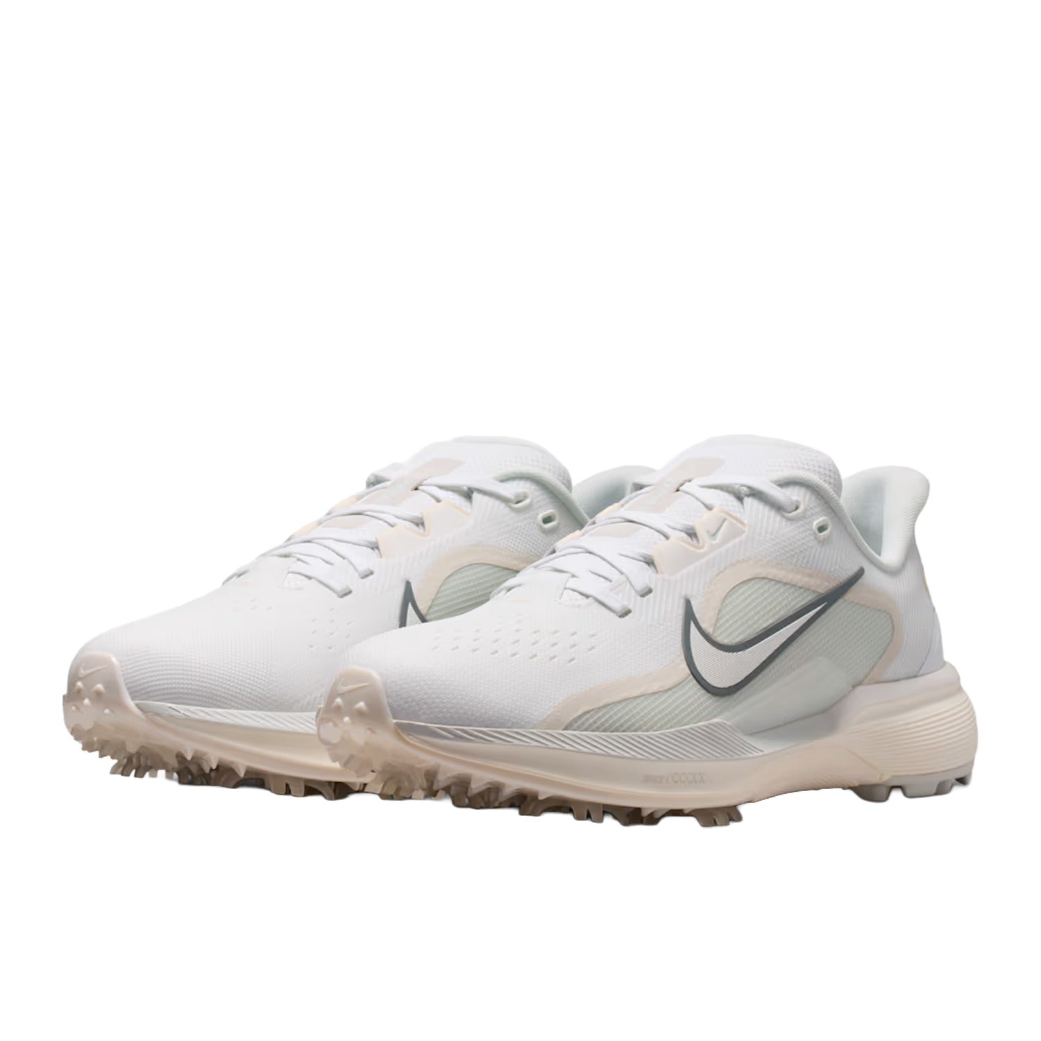 Pegasus 1 G Nike