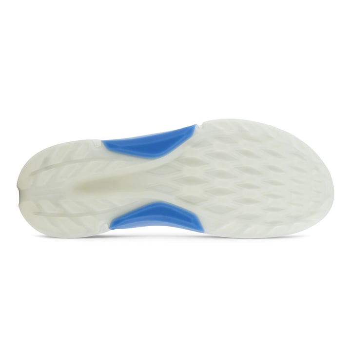 M Golf Biom H4 BOA Ecco