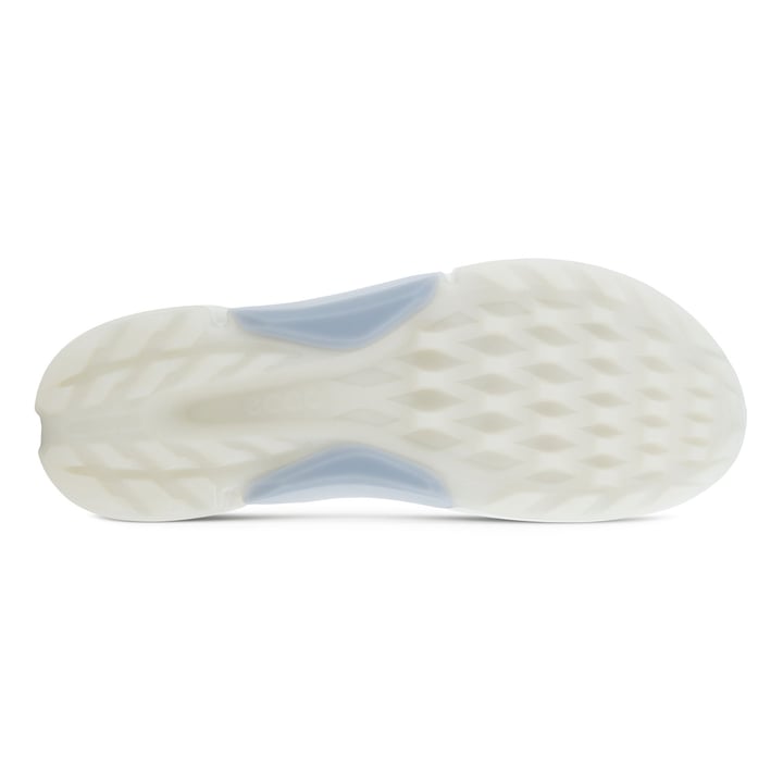 W Golf Biom H4 BOA Ecco