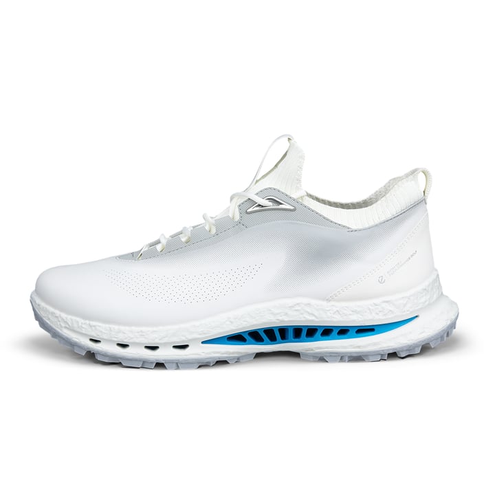 M Golf Biom C5 GTX Grå Ecco