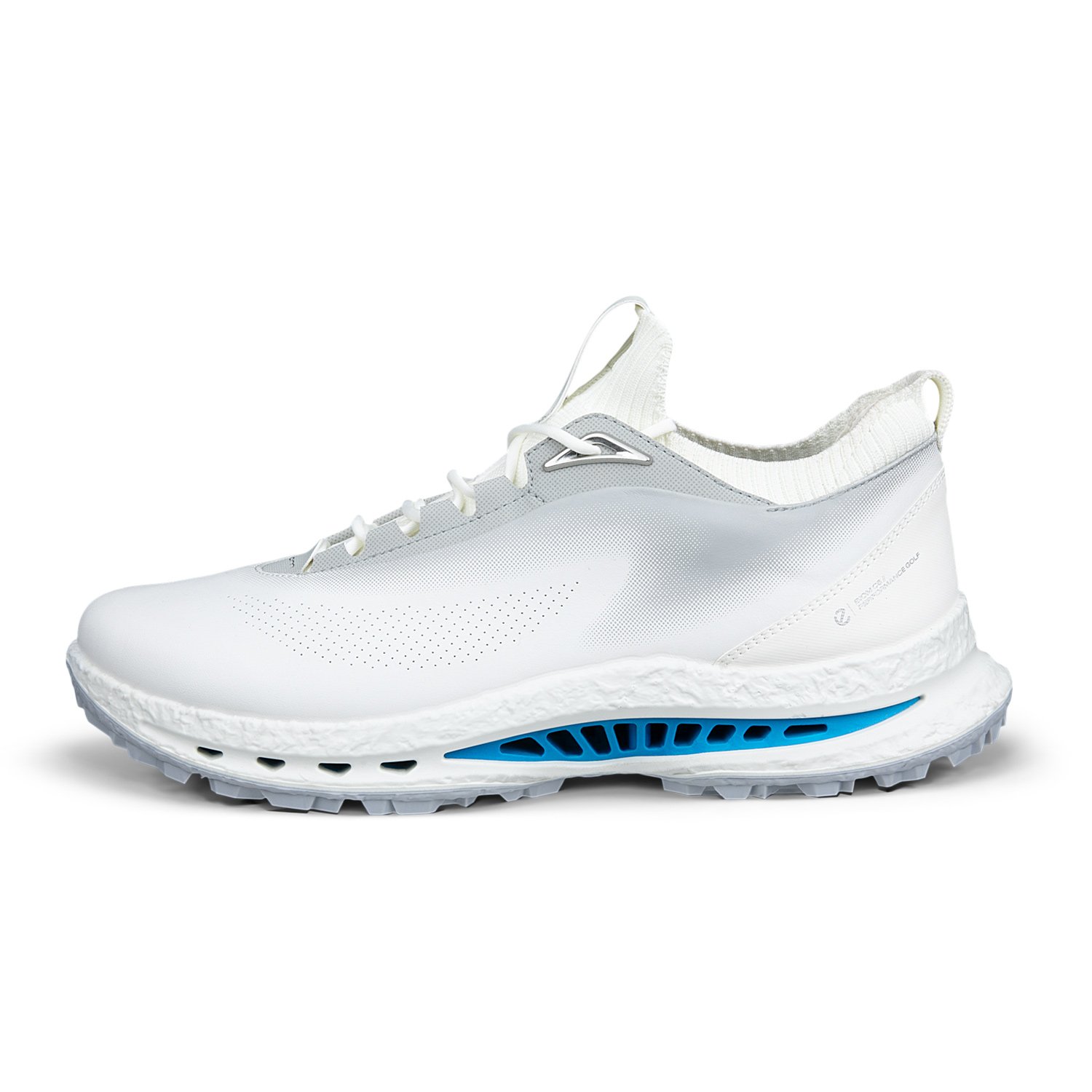 M Golf Biom C5 GTX Grå Ecco M Golf Biom C5 GTX Grå Ecco